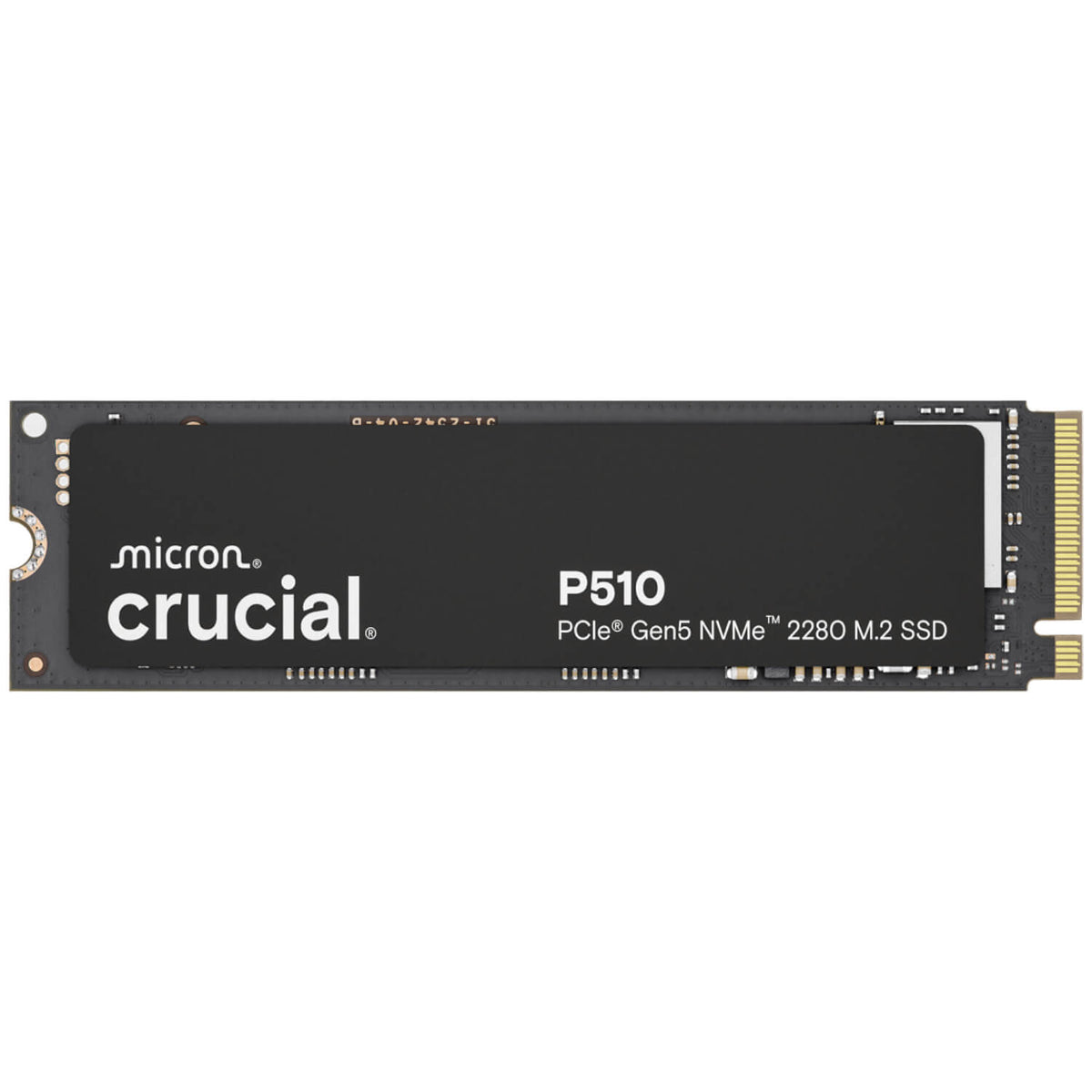 CT1000P510SSD8